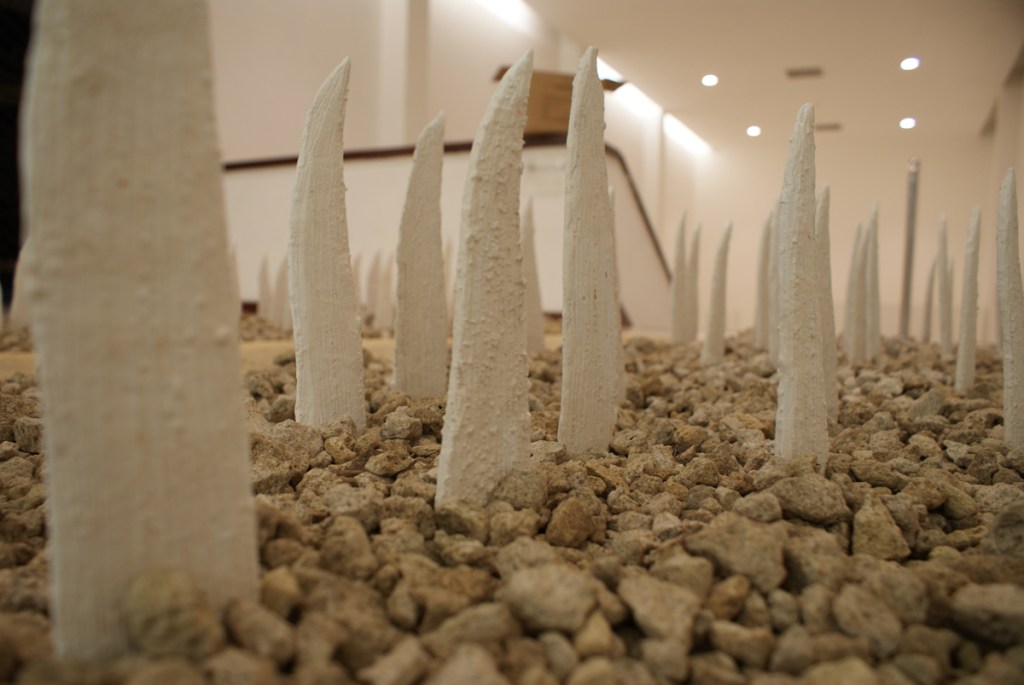 selección promerica